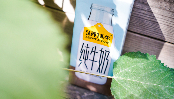 認養(yǎng)一頭牛,IPO,乳業(yè),消費,傳銷