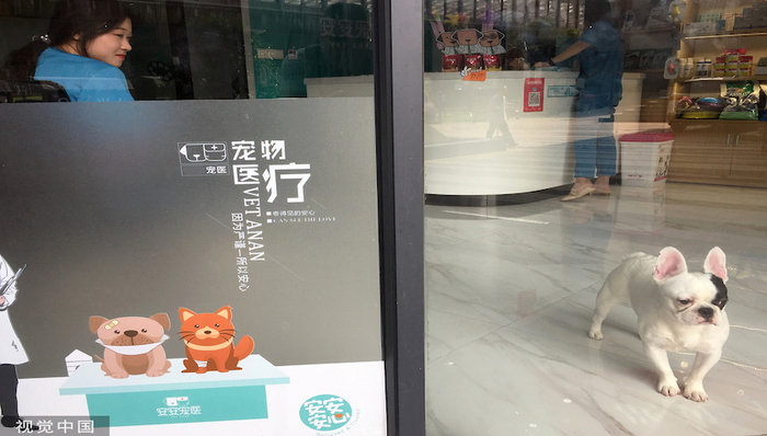 摘牌四年完成十倍扩张,拆解新瑞鹏美股IPO的增长秘密