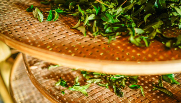 茶葉,資本市場,八馬茶業(yè),A股市場