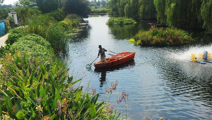 上海,長(zhǎng)三角,國(guó)土空間,總體規(guī)劃,示范區(qū),江蘇,浙江,?