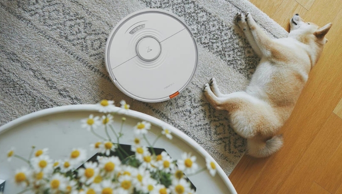 石頭科技,業(yè)績,市值,減持