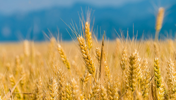 熱點(diǎn)關(guān)注