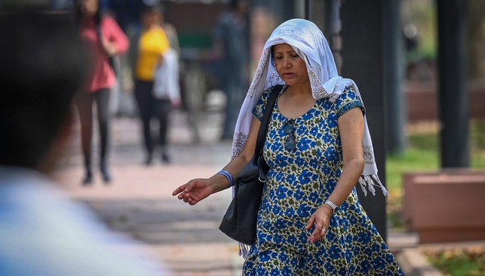 印度,高溫,小麥,煤炭,電力