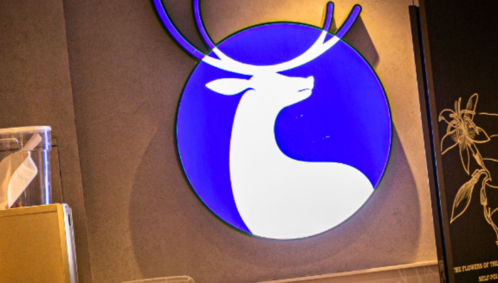 庫(kù)迪咖啡,咖啡市場(chǎng),線下門店,