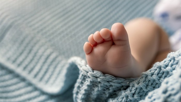 地方動(dòng)態(tài)