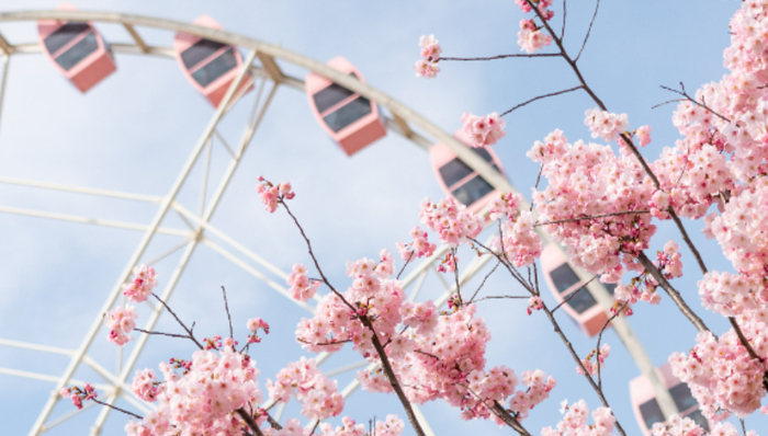 调研早知道 | 旅游股异动,五一黄金周带动的这个版块最具弹性