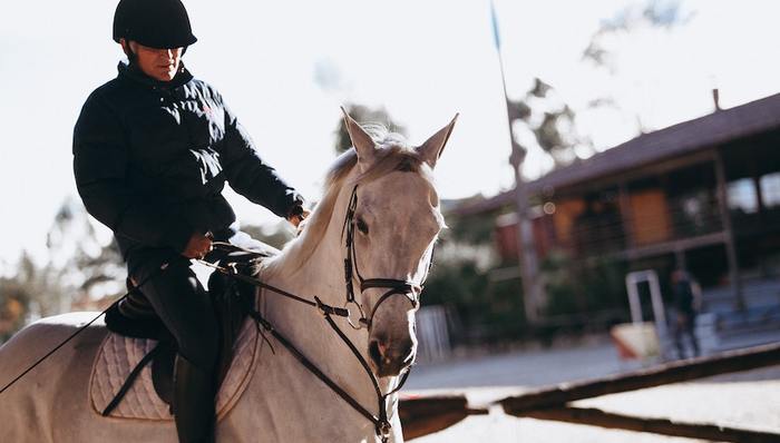 馬術(shù)康復,公益,小眾運動,