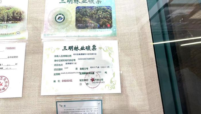 三明林业碳票有望纳入上海碳普惠体系,让空气变得更值钱 | 沪明合作观察