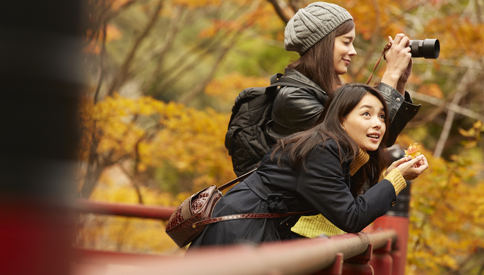 旅行團；旅游團；旅游；端午