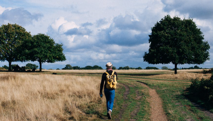 導(dǎo)游,暑期旅游,消費(fèi)需求,旅行社,