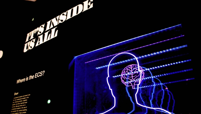 醫(yī)藥,研發(fā),阿爾茲海默癥,,lecanemab