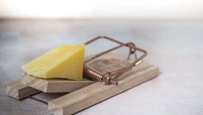 鍋圈食匯,上市,加盟商,