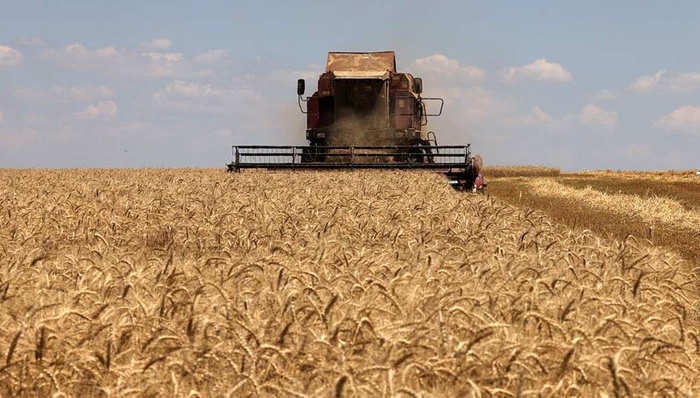 黑海運糧,聯(lián)合國,俄羅斯,烏克蘭,土耳其