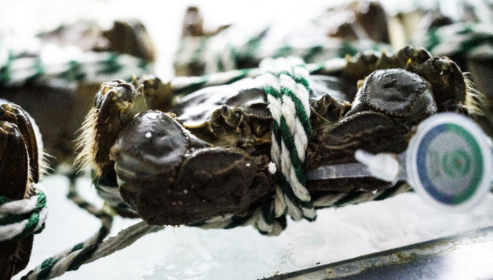 生鲜电商,资本市场,朴朴超市,IPO,商业模式,信息披露