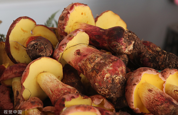 美食,新书,云南