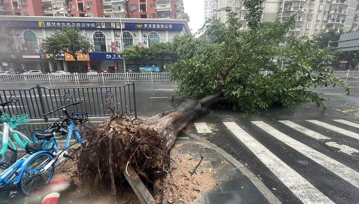 熱點(diǎn)關(guān)注