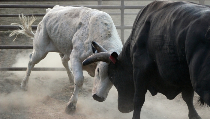 沃爾瑪,山姆會員店,阿里巴巴,盒馬鮮生,新零售,商業(yè)模式,價格戰(zhàn)