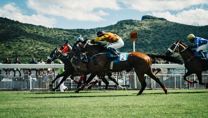 醫(yī)藥,排行榜,羅氏,默沙東,艾伯維