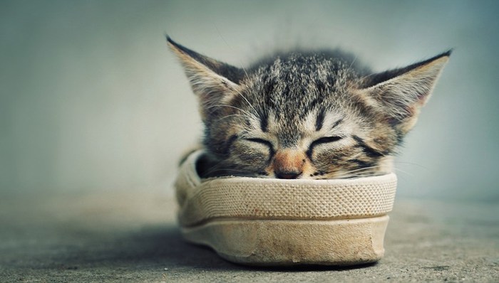 熱點(diǎn)關(guān)注