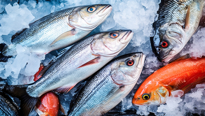 中水漁業(yè),開創(chuàng)國際,大洋世家