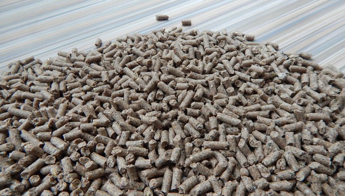 播恩集团,股价,逆势涨停,上半年,增长42.89%。