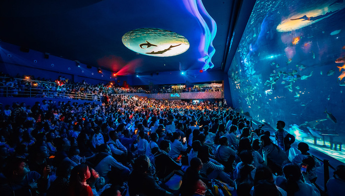 上海,文旅,海昌海洋公園,主題公園