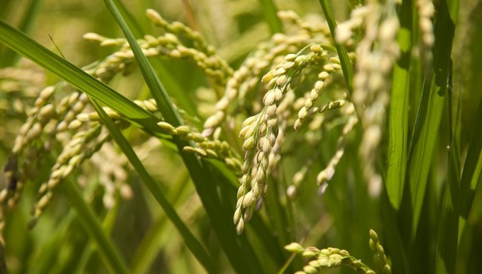 熱點(diǎn)關(guān)注