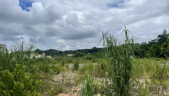 科博中心,坂田,龍崗