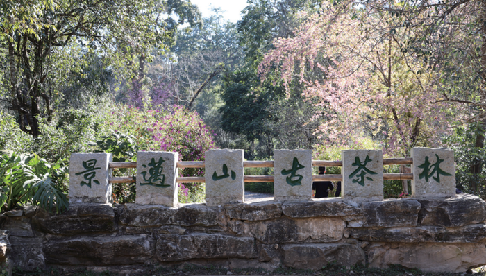 文化古跡,文化遺產(chǎn)