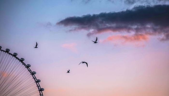 在哈利法塔之外,迪拜有了全新名片|畅游迪拜⑥