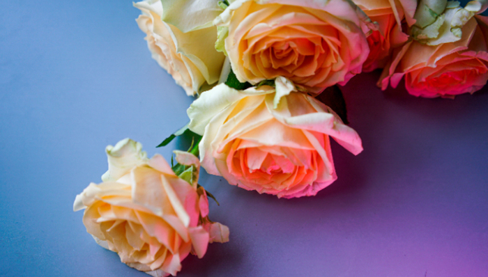 花加,垂直電商,鮮花電商,