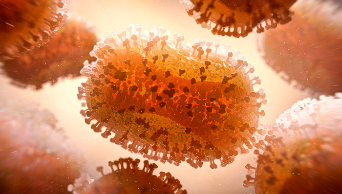 熱點(diǎn)關(guān)注