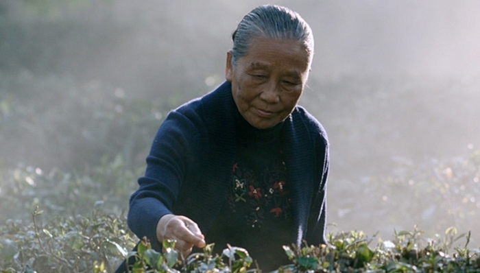 瀾滄古茶,港股,IPO,信息披露