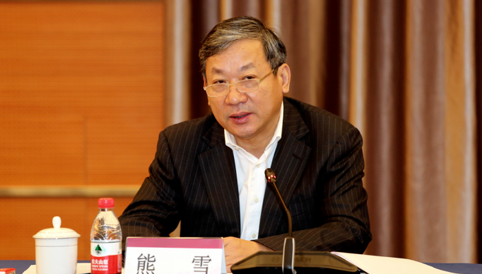 重庆市人民政府原党组成员、副市长熊雪被逮捕