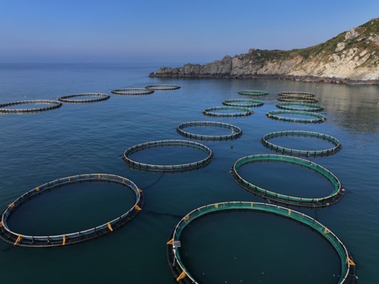 前螞蟻集團(tuán)CEO胡曉明投身農(nóng)業(yè)，成立新公司“一米八”