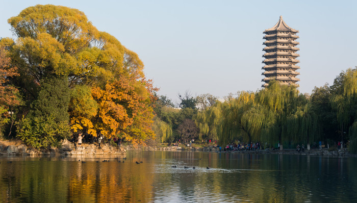 教育,北京大学