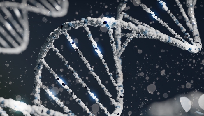 基因測序,虧損,Illumina,