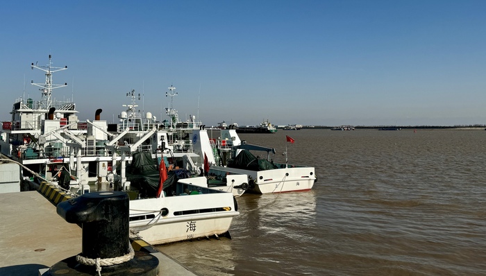 长江十年禁渔,水生生物,江豚,中华鲟,长兴岛,上海,禁捕智能管控系统