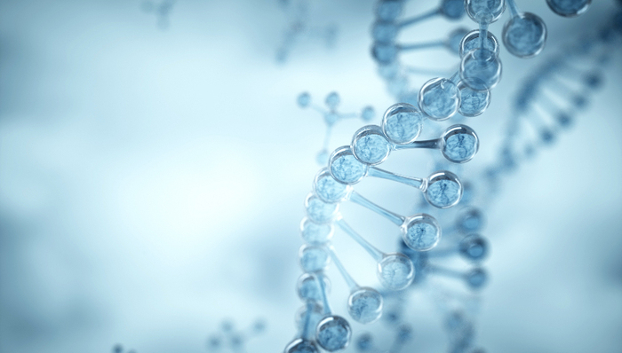 小核酸第一股圣諾醫(yī)藥深陷泥潭：大跌與裁員，資金已不足再燒一年