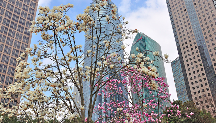 財經(jīng)速遞,外資