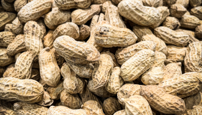 休閑食品,堅果炒貨,消費偏好,