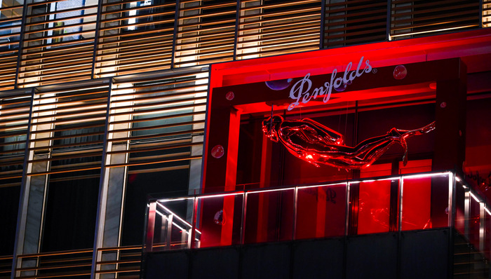 【深度】失落三年,奔富中国重整旗鼓