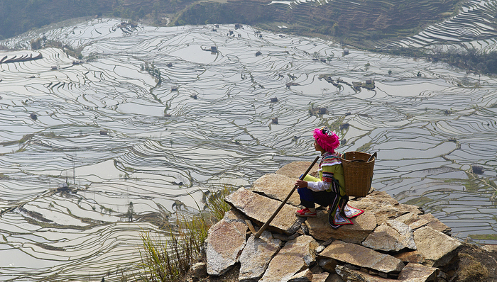 新書(shū),書(shū)單,書(shū)單控