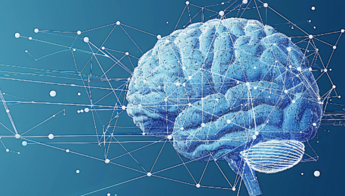 發(fā)展趨勢(shì),大模型,