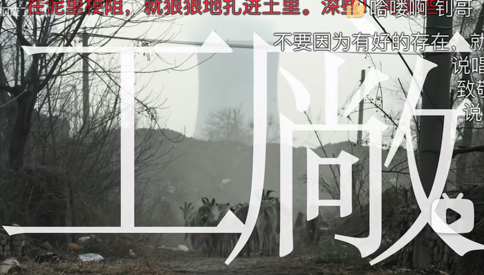 城鎮(zhèn)化,華語(yǔ)音樂(lè),流行文化,鄉(xiāng)村,小鎮(zhèn)青年