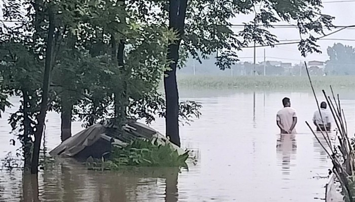 房屋被淹、粮食被泡,南阳打破今年河南最强暴雨纪录
