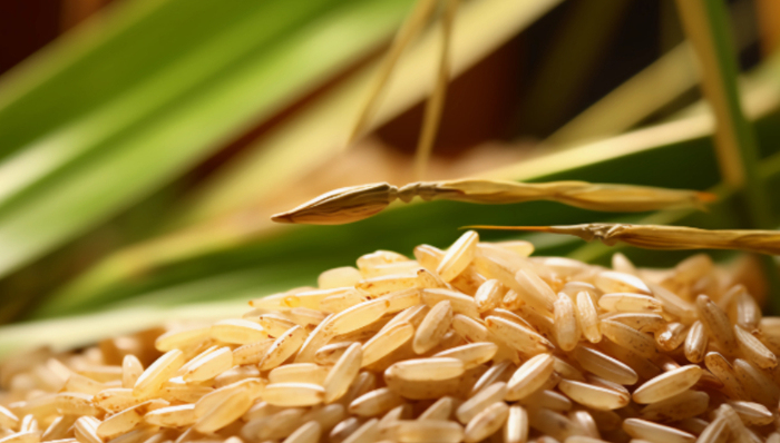 年輕人,新農(nóng)人,生活方式,