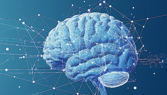 月之暗面,AI大模型,投資,