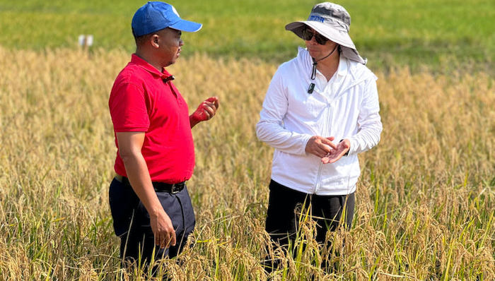 【特寫】中國種子闖非洲