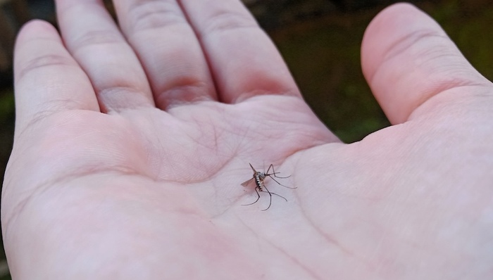 中東北非,天下故事,公共衛(wèi)生